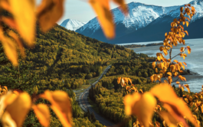 Where Summer Meets Fall: The Magic of August in Fairbanks