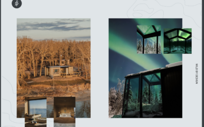 One Brand, Many Escapes: The Wilding Hotels Promise