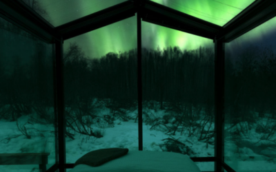 Your Wilding Escape, Any Season